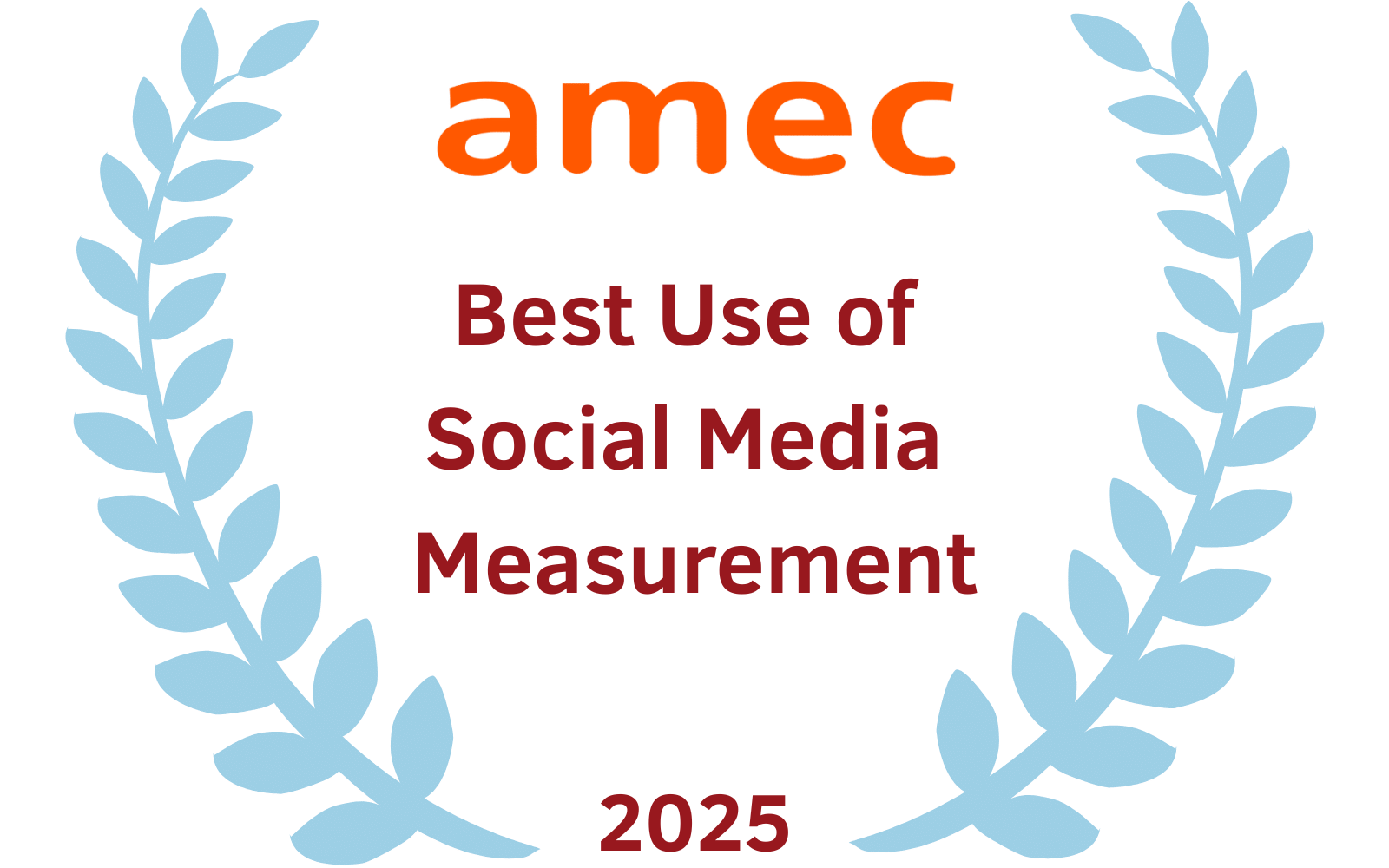 Best Use of Social Media Measurement